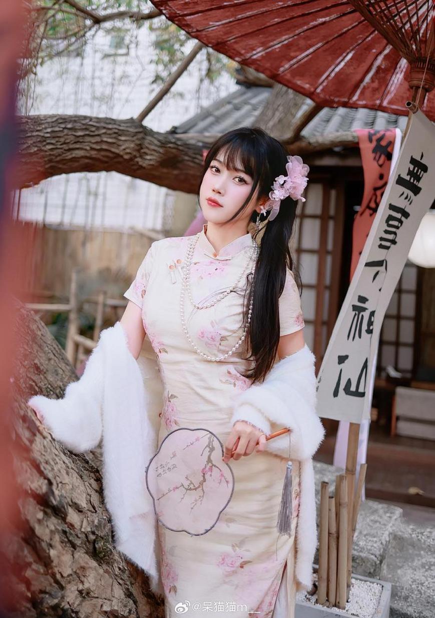 不呆猫cos唯美美图：流浪的山猫风情